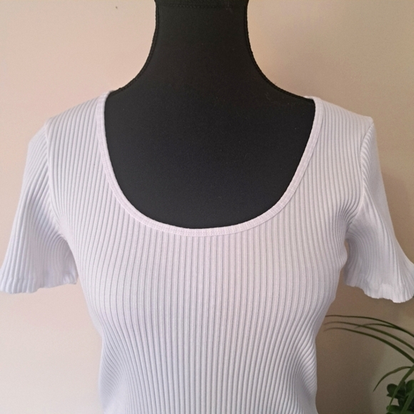 Wilfred White Ribbed Top Scoop Neck Short Sleeved Tee Fitted - Picture 10 of 11